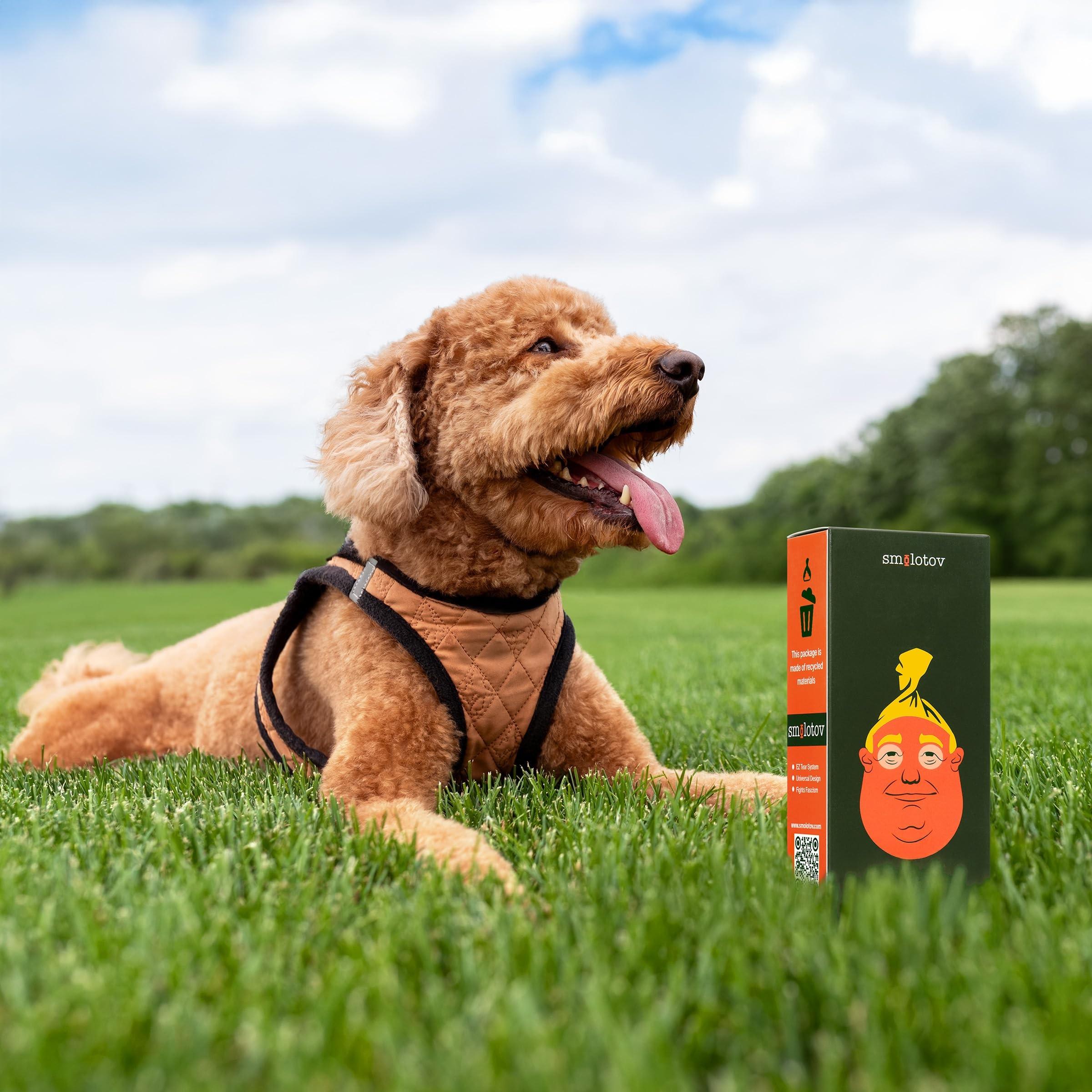 High-Quality Dog Poop Bags with Funny Faces, Unscented, Leak-Proof, 4 Rolls (60 Pieces), Ideal for Pet Owners, Convenient and Practical