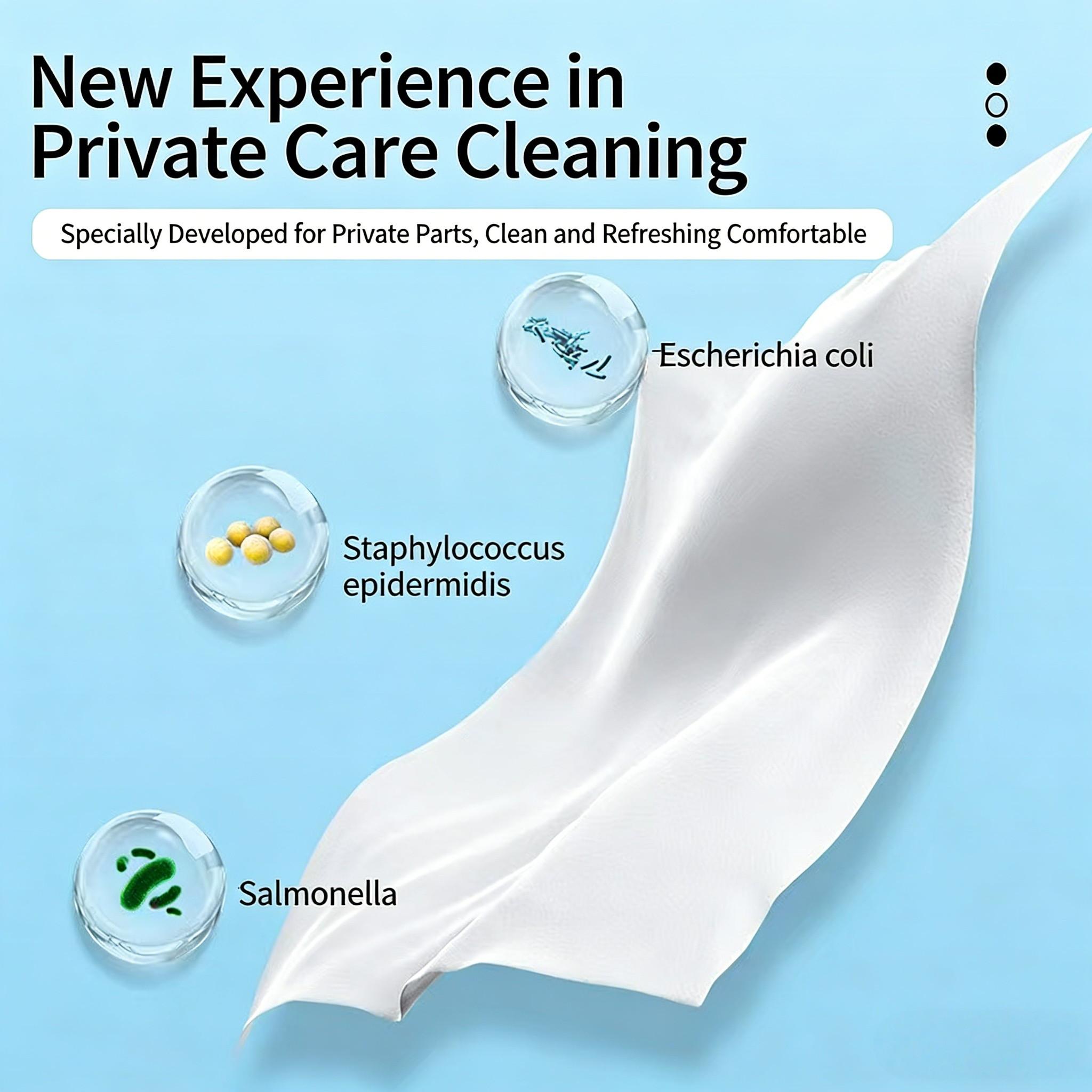 Flushable Wet Toilet Paper, Gentle on Skin, Strong Cleaning, Flushable, Septic System Friendly, 1 Pack or 3 Packs Available