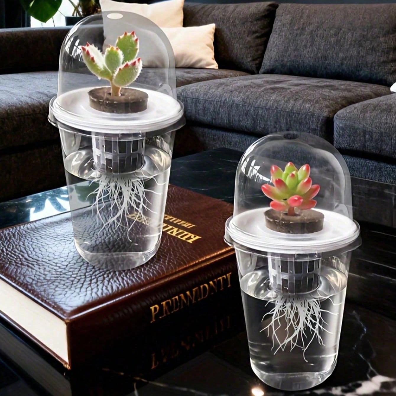 Transparent Hydroponic Seedling Pot, High Transparency Design, Aeration Feature, Ideal for Plant Propagation, Office Home Garden Decor
