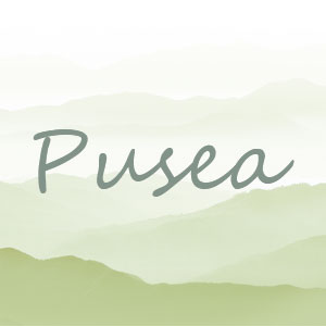 Pusea Shop