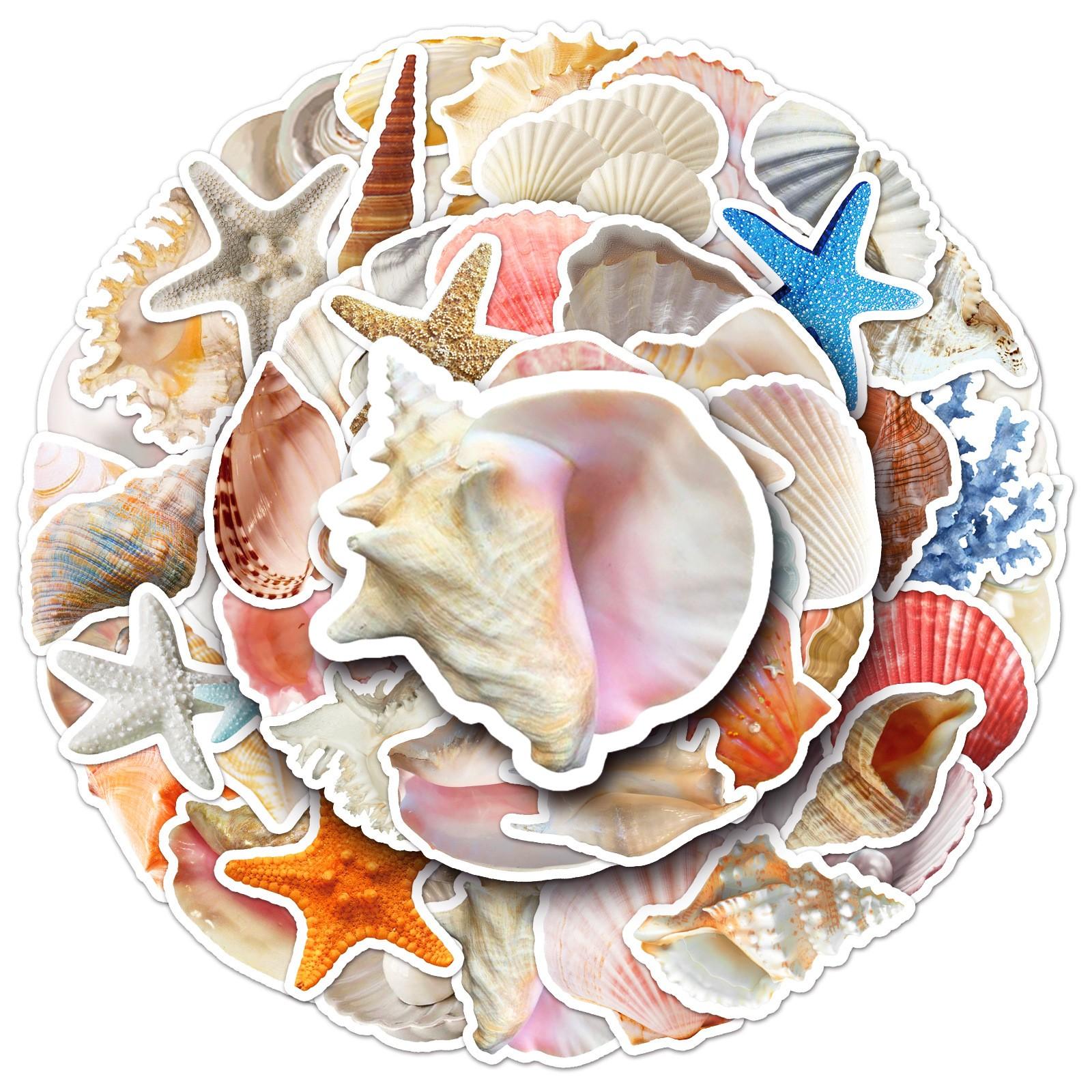 50pcs Cute Seashell Stickers, Waterproof Vinyl Decals, Cartoon Starfish Conch Pearl Stickers, DIY Scrapbook Journal Stickers Pack