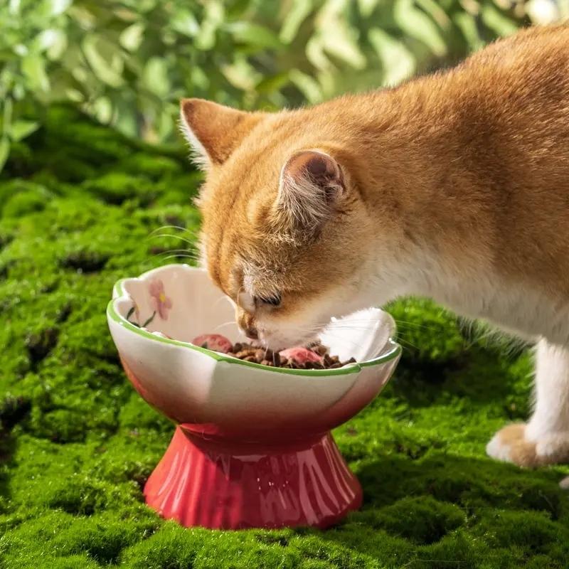 Ceramic Strawberry Slow Feed Bowl, High Feet Design, Anti-Gag and Anti-Spill, Neck Support for Cats and Kittens, Pet Feeding Solution