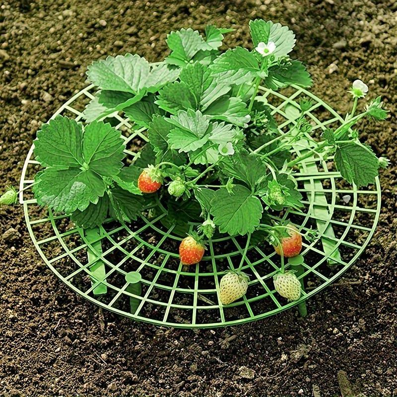 16-Piece Set, 8-In-1 Combo High-Quality Strawberry Planters, Quick Install Design, Multi-Functional Plant Rack for Strawberries & Small Plants