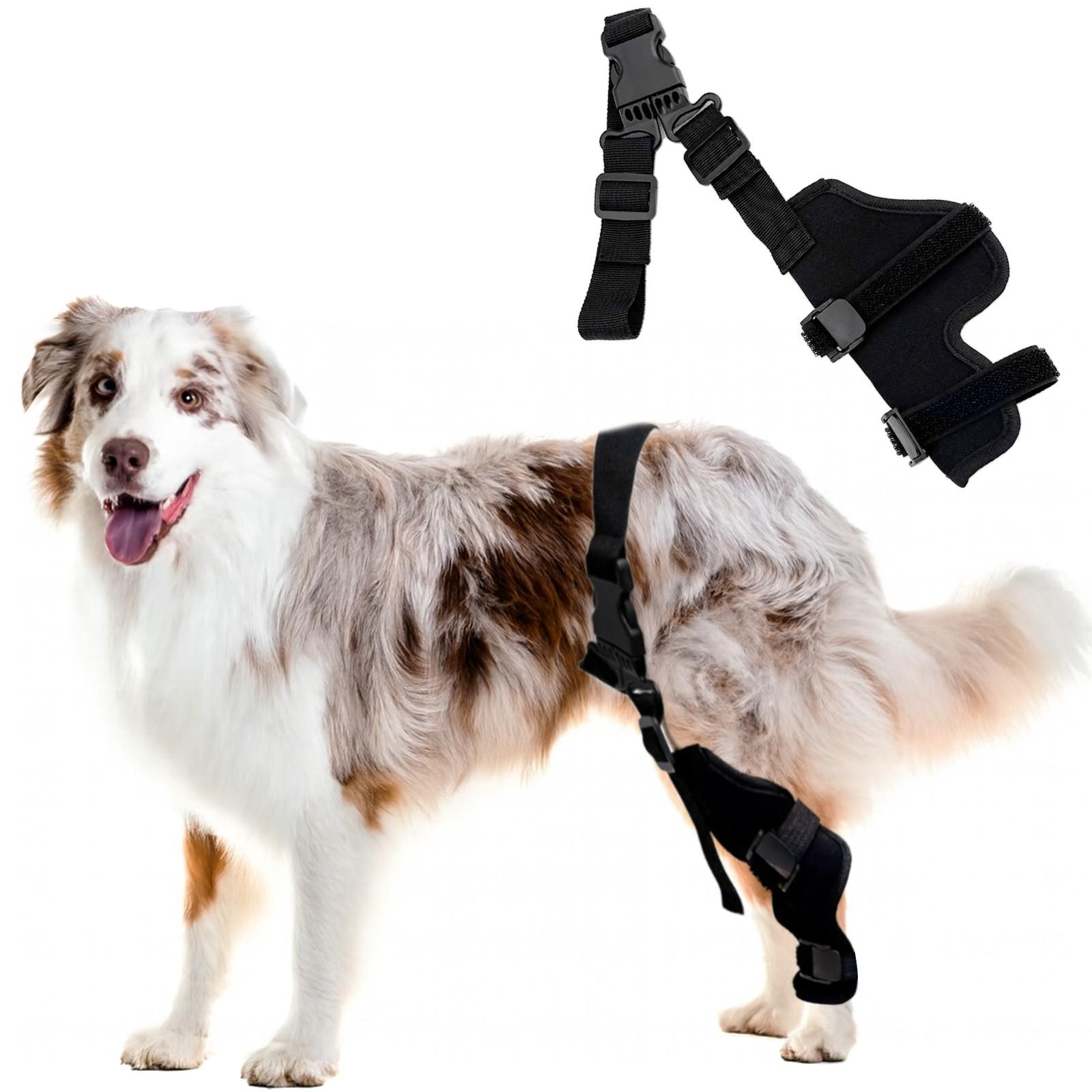 Pet Dog Leg Support Brace, Adjustable Rear Leg Orthosis for Injured Dogs, Joint Protection for Elderly Dogs, Recovery Aid for Canines
