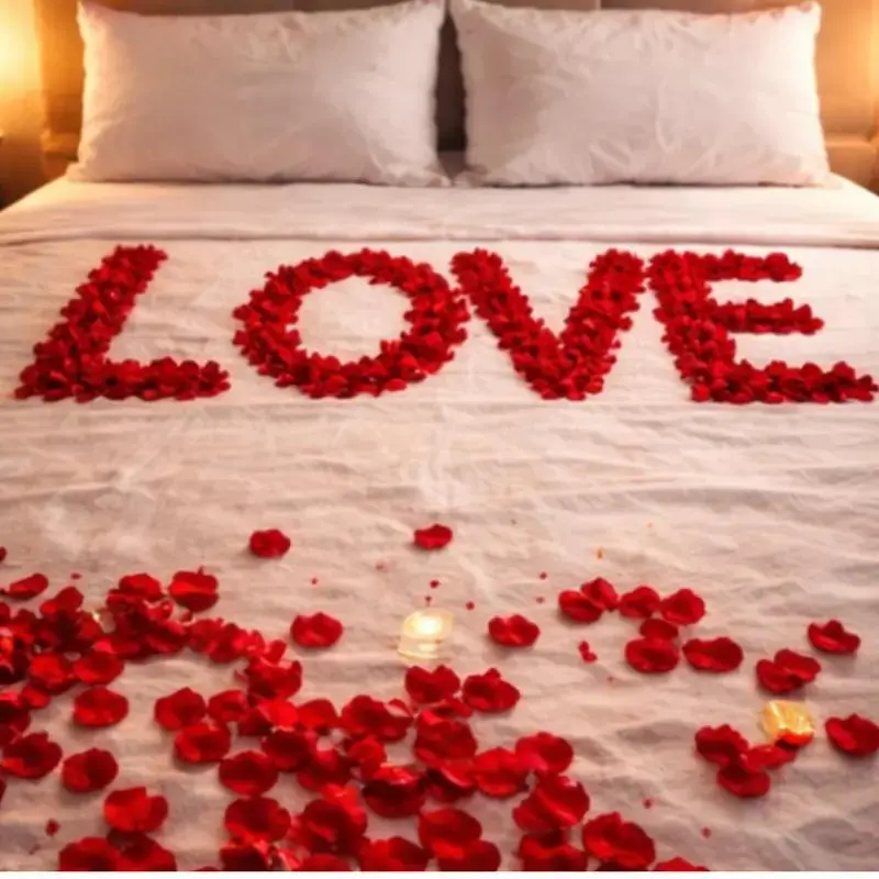 1000 PCS Premium Red Silk Rose Petals for Dreamy Weddings, Romantic Proposals & Anniversary Celebrations