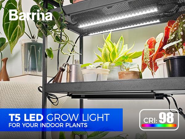 Barrina T5 Plant Lights with Black Cover, 1FT 10W (2 X 5W) with Magnetic Design, Full Spectrum, Plug and Play, Linkable, 5000K, 2 Packs