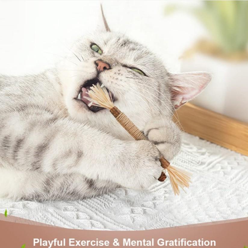 Pet Toy Cat Chew Stick, Hemp Rope Wood Mint Catnip Teeth Cleaning, Indoor Play Oral Stimulation, Ideal for Cats and Adult Cats