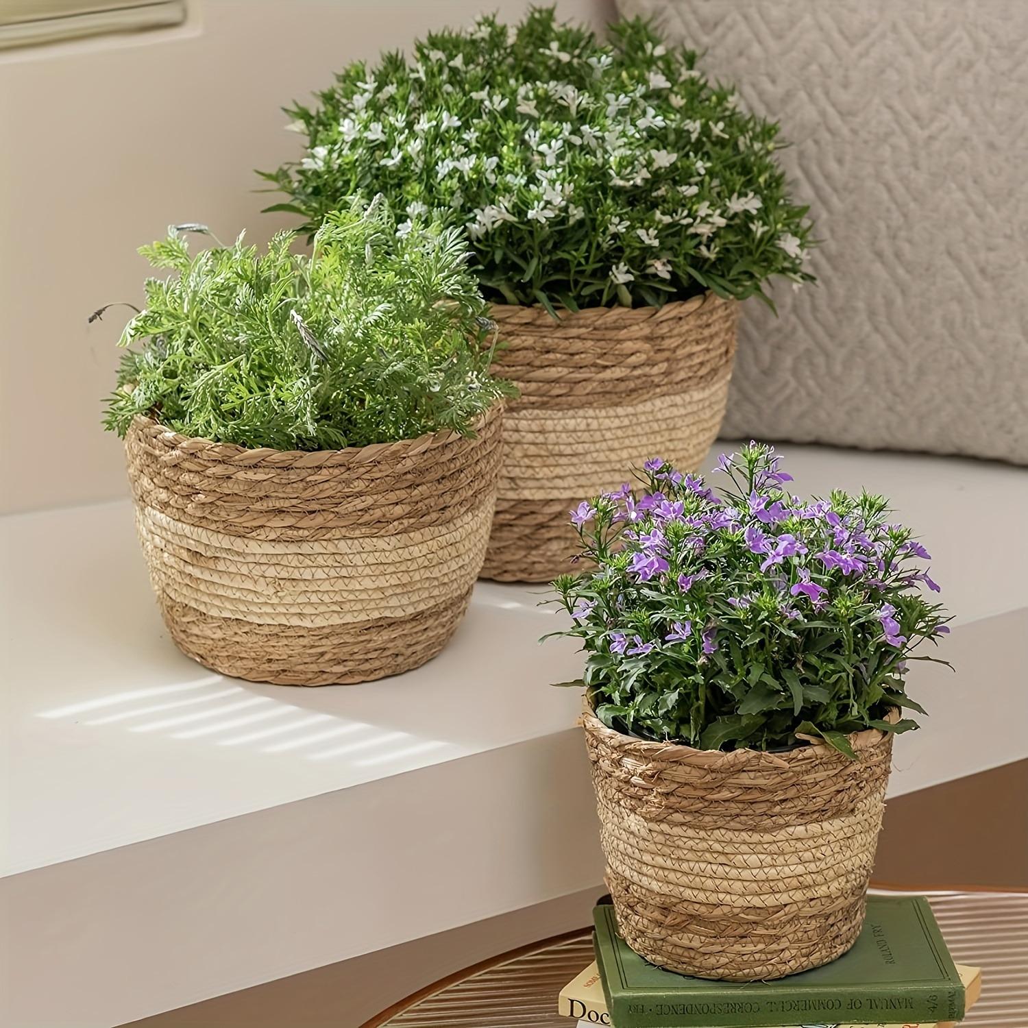 3 Pack Handwoven Seagrass Plant Baskets with Artificial Moss Lining, Breathable Flower Planter Pots, Lightweight Storage Baskets for Succulents, Herbs and Various Potted Plants, Stylish Decor for Indoor and Outdoor Garden Layout