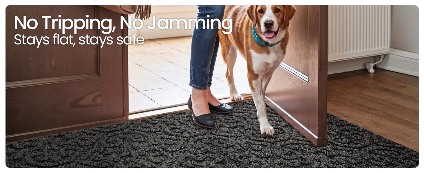 DEXI Non Slip Entryway Rug, 24x36 Indoor Absorbent Machine Washable Dirt Trapper Rug for House, Patio, Machine Washable Rug,back to school,dorm essentials,home decor,home essentials