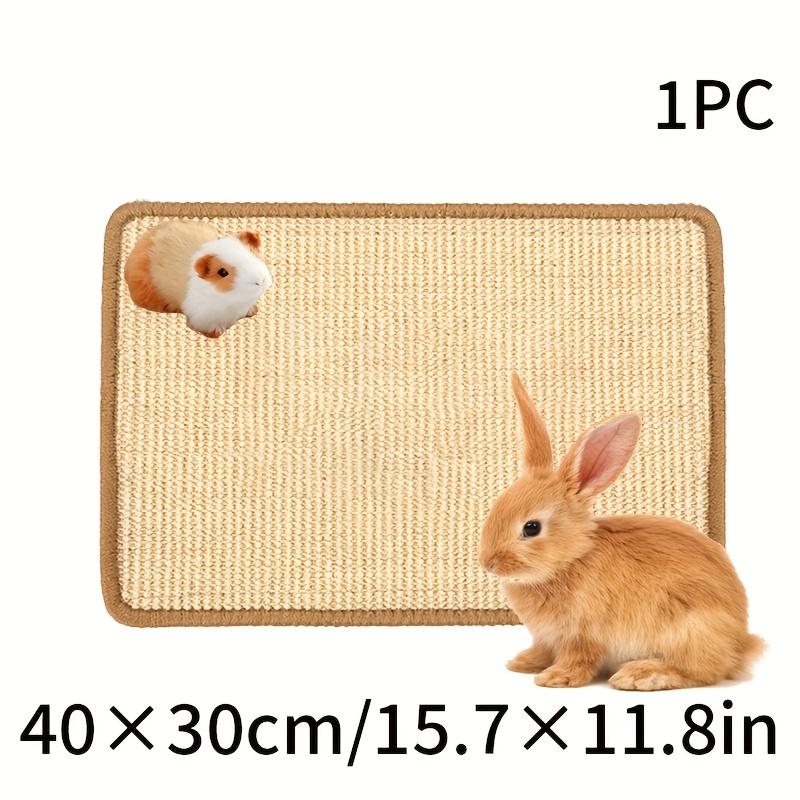 Natural Rabbit Scratching Pad, Random Pattern and Color, Claw and Tooth Care, Pet Cage Mat, Chew Toy, Suitable for Small Animals, Natural Sisal Scratcher