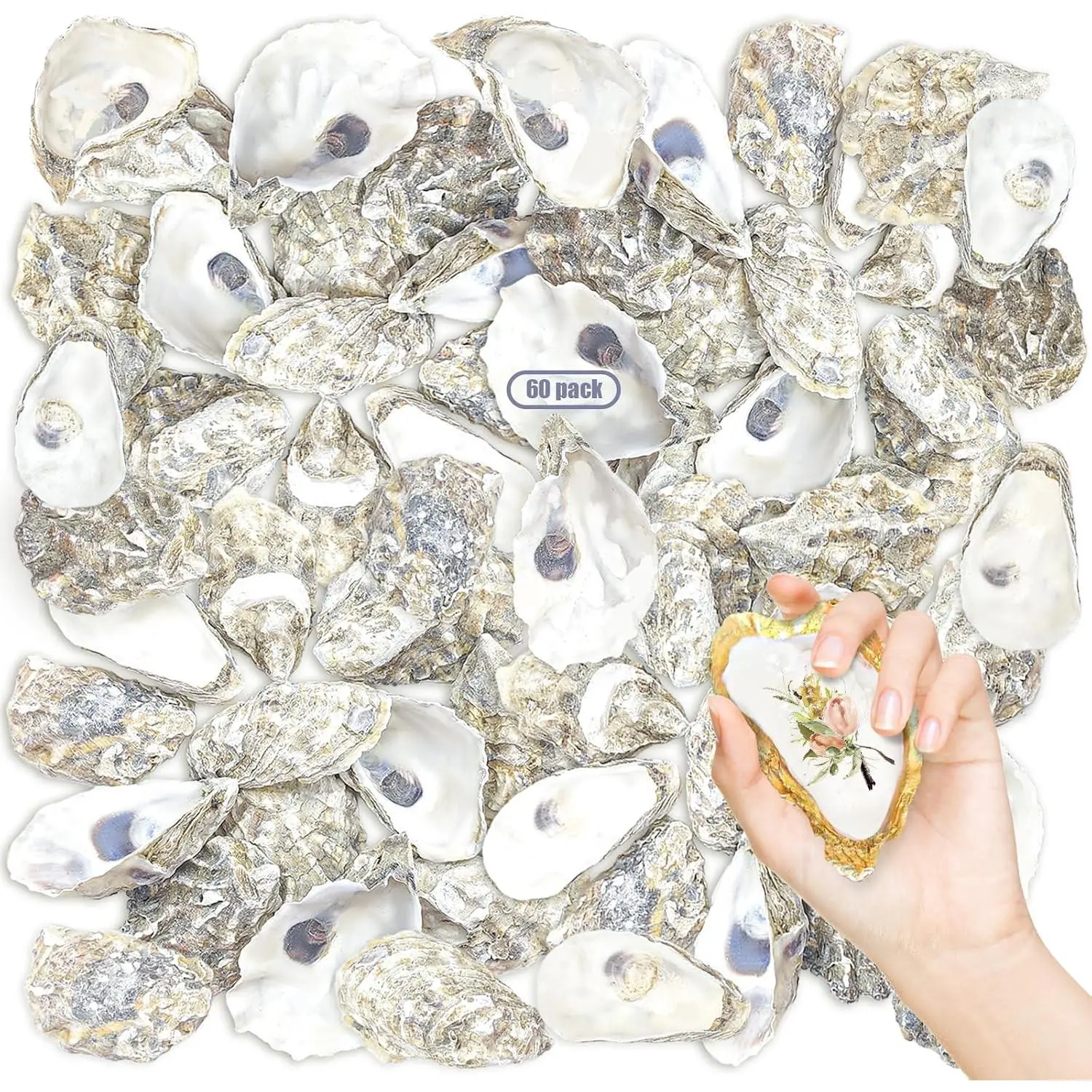 60PCS 4"-5" Large Bulk Oyster Shells - Deeper Sea Shells for Home Decor Vase Filler, Ornaments, DIY Arts and Crafts