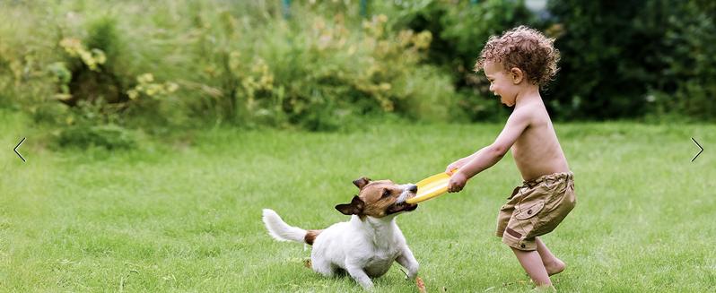 AOSU Security Cameras Wireless Outdoor, 5MP Ultra HD WiFi Home System, Triple Motion Detection, 166° Wide Angle, 365-Day Battery Life, Night Vision, No Monthly Fee, Work with Alexa/ Google Assistant