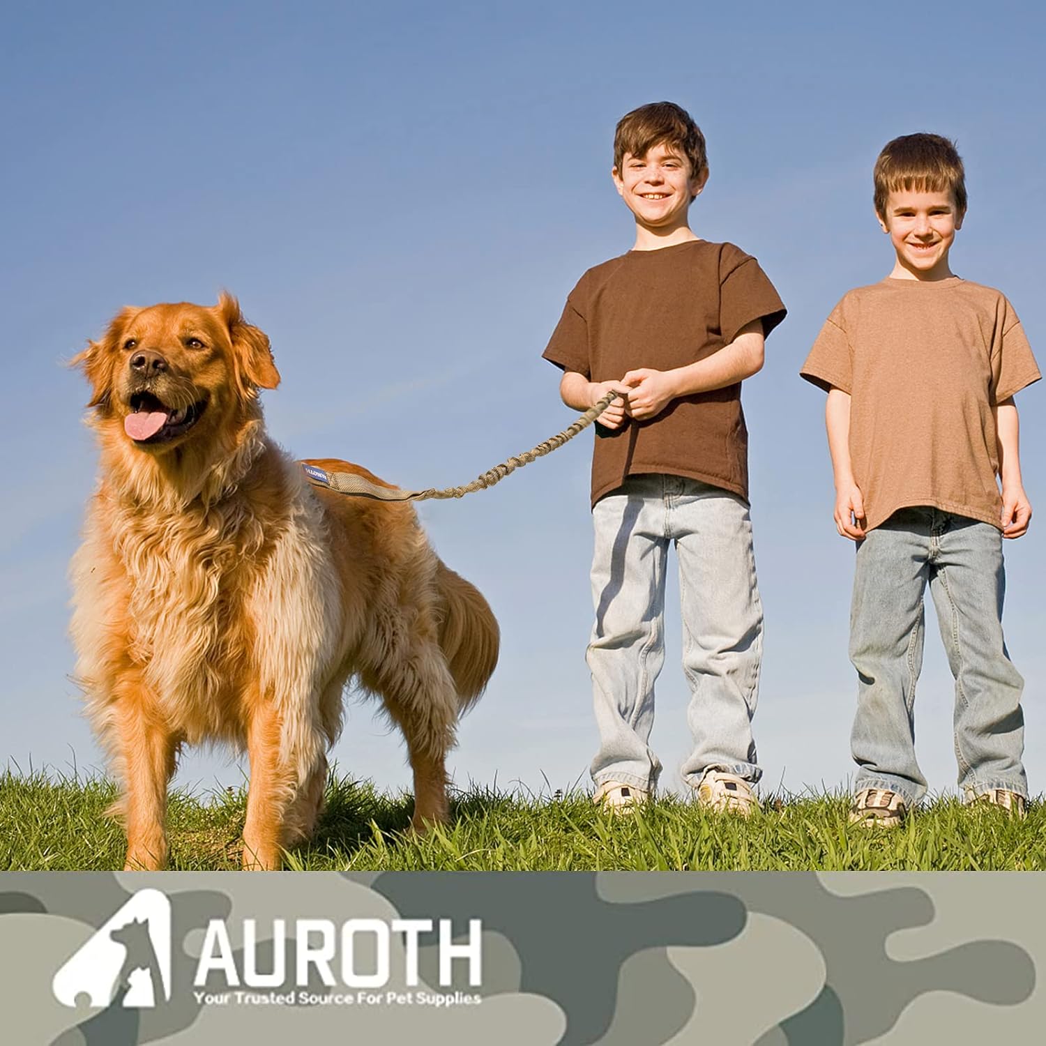【AUROTH】 Dog Leash , Heavy Duty Dog Leash Bungee, No Pull Dog Leash for Shock Absorption, Dog Training Leashes for small Medium Large Breed Dogs 6FT, 2 Padded Handles，cat leash
