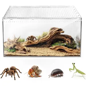 Escape Proof Reptile Terrarium,Shatter Proof Polycarbonate Tarantula Tank with Magnetic Lid,Ventilated Spider Enclosure,360 °   Clear View,Easy Clean Habitat for Gecko,Frogs,Insects,Hermit Crabs L