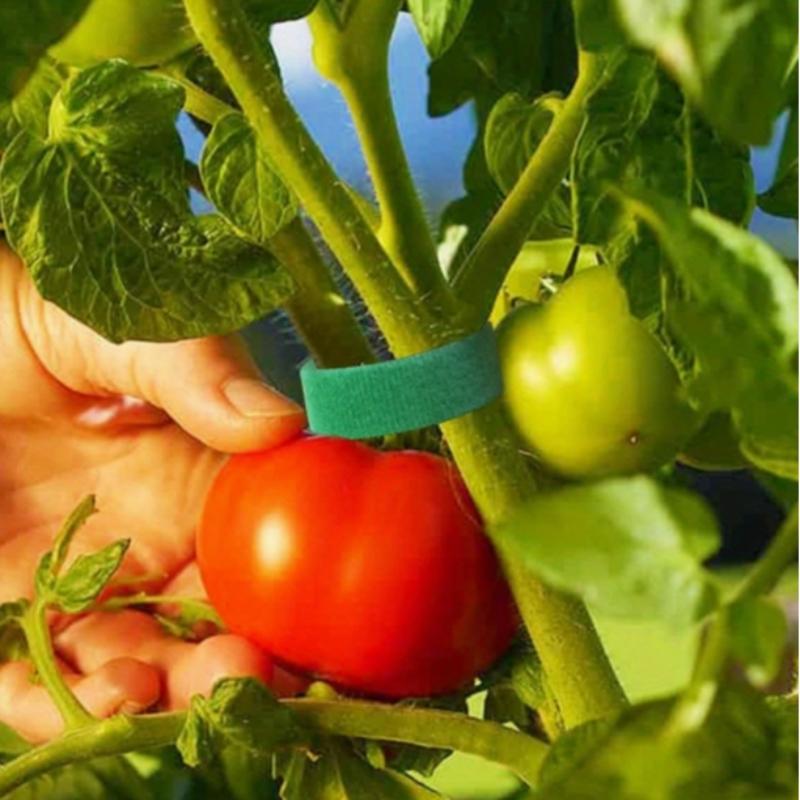 3 Rolls Soft Garden Plant Tape, 1m Flexible Twist Tie, Ideal for Tomato Plants, Perfect for Gardening, Home, Office Use