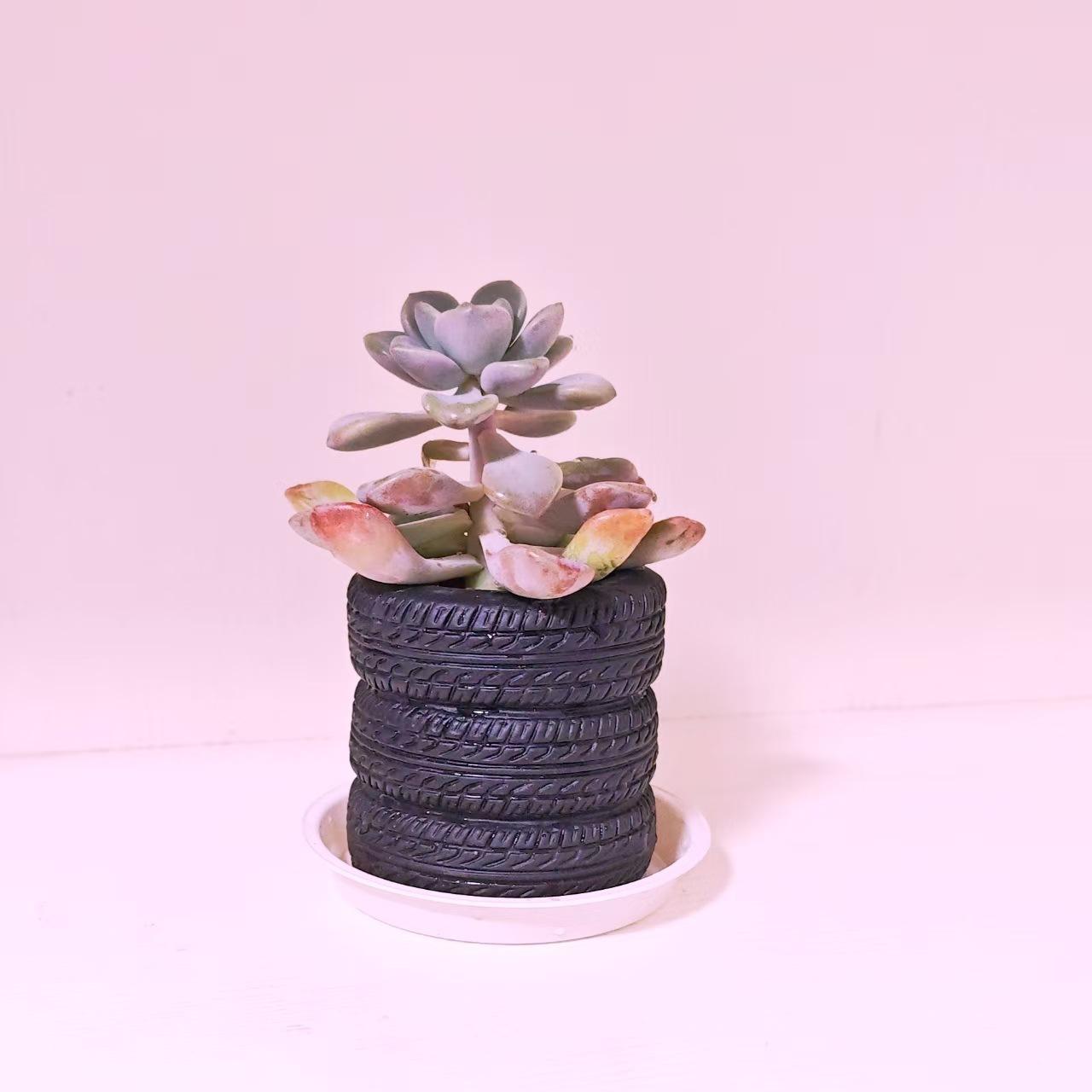 Creative Tire Shaped Multifunctional Pen Holder, Student Office Desktop Storage Decor, Makeup Brush Stationery Eyebrow Pencil Organizer