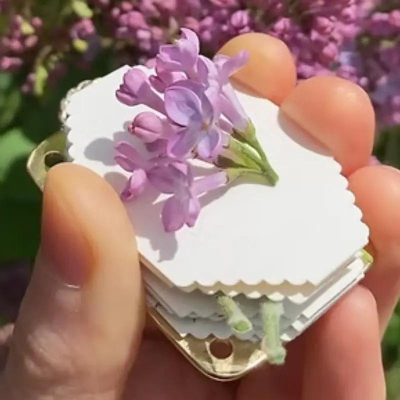 Mini Floral Pressing Tool, Handmade Mini Floral Press Box, Ideal for Specimen Making, Bookmark Crafting, Scrapbooking, Mother's Day Gift
