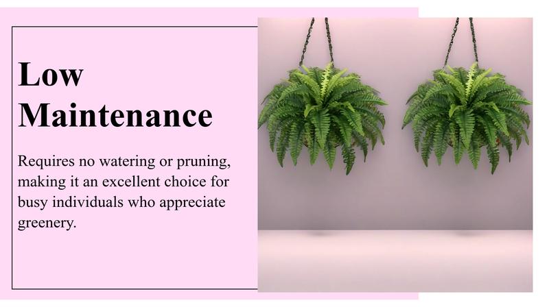 2pcs Large Artificial Boston Fern Plant - Realistic Lush Green Plastic Hanging Decor for Indoor/Outdoor Use, No Maintenance Home Garden Porch Decor, Perfect for Graduation Christmas Housewarming Gifts, Artificial Plants for Home, Artificial Faux Plants