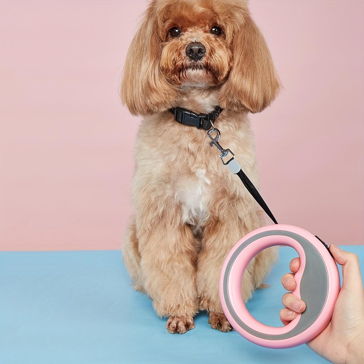 Retractable Dog Leash with 1-Button Lock, Leash Included, Outdoor Pet Walking Accessory for Small Dogs & Cats