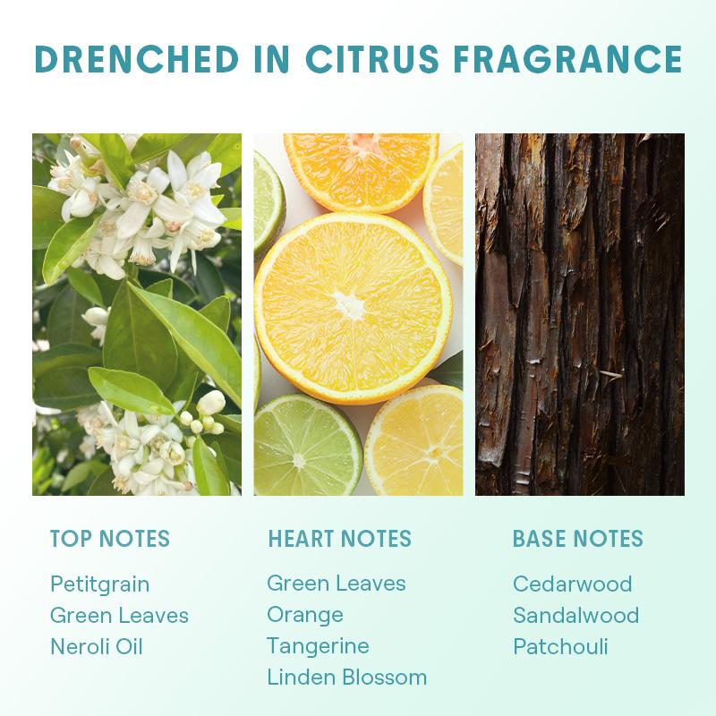 SHEGLAM HAIR Fresh Start Dry Shampoo Gel Haircare Cleansing Cleanser-Bangs