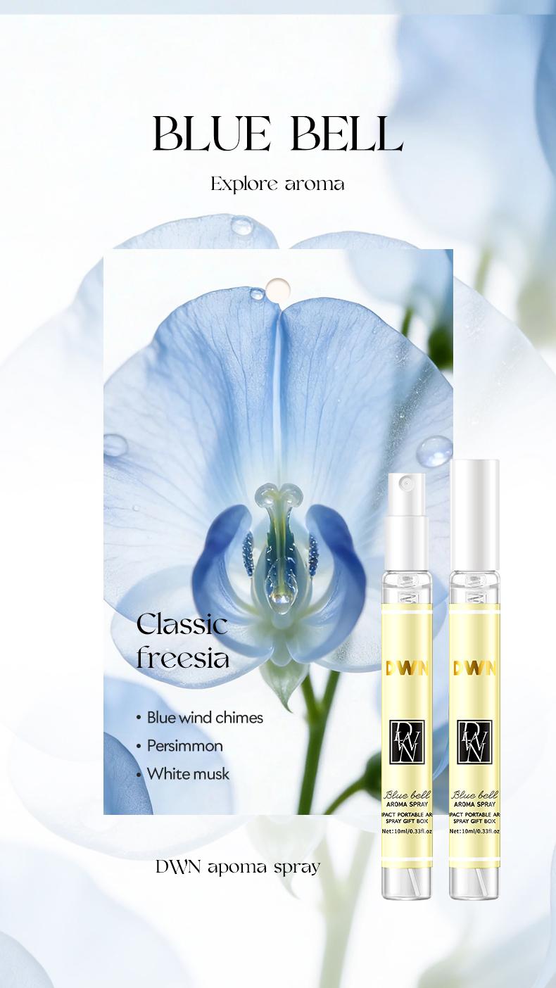 High-End Secret Perfume Set 10 X 10ML, Luxury Fragrances, Perfect Gift for Perfume Lovers, Perfume Sampler Set for Beginners