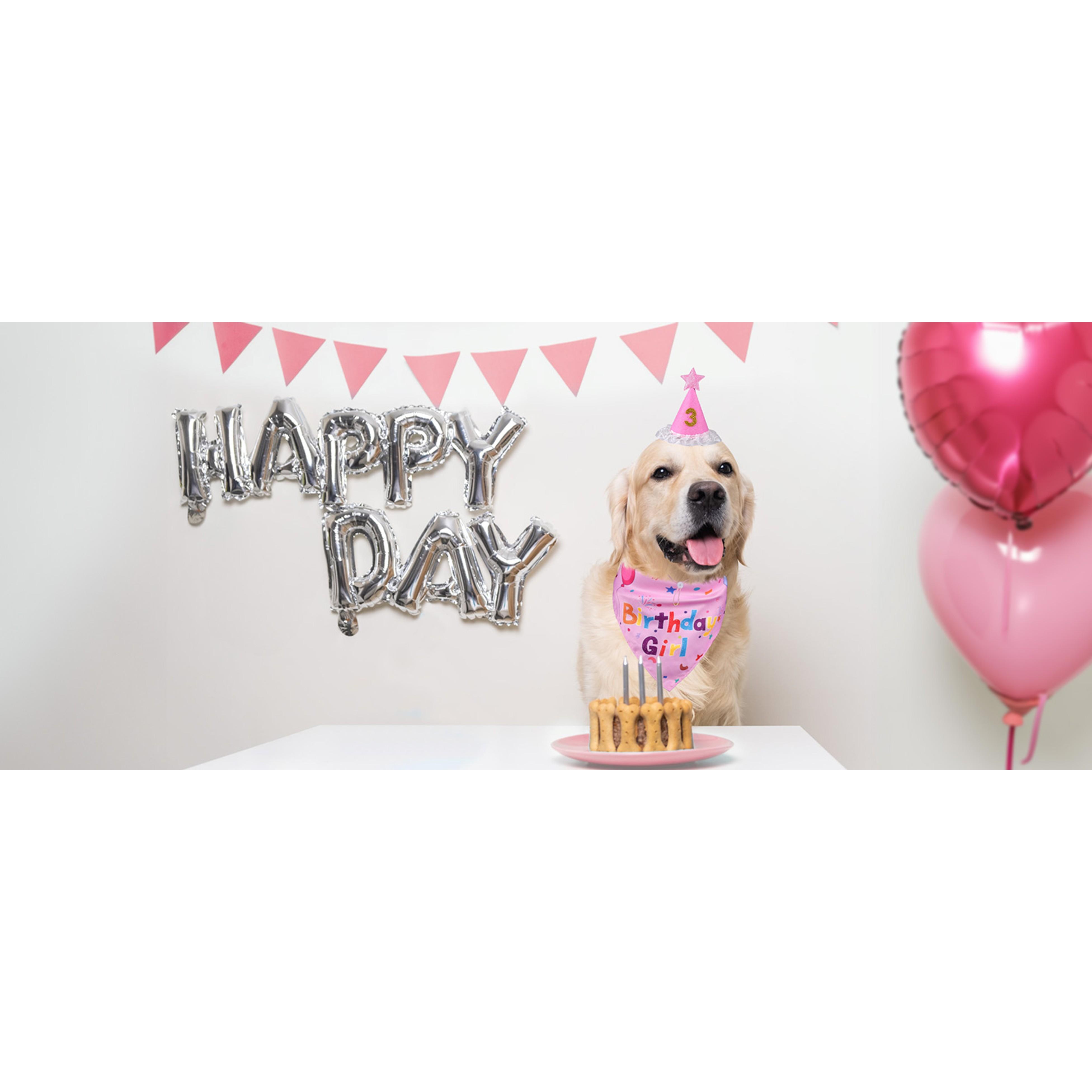 Fun Cotton Double-Sided Dog Birthday Party Supplies Set - Bandanas, Numbered Hat, Flag, Balloon, Photo-Ready Pet Outfit, Canine Dressing Up Gifts (27.5x18.1x18.1 inch Set, 3inch(Diameter)x4.4inch(Height) Components, Multi-Size for Small/Medium/Large Pets) Fun Cotton Double-Sided Dog Birthday Party Supplies Set - Bandanas, Numbered Hat, Flag, Balloon, Photo-Ready Pet Outfit, Canine Dressing Up Gifts (27.5x18.1x18.1 inch Set, 3inch(Diameter)x4.4inch(Height) Components, Multi-Size for Small/Medium/Large Pets)