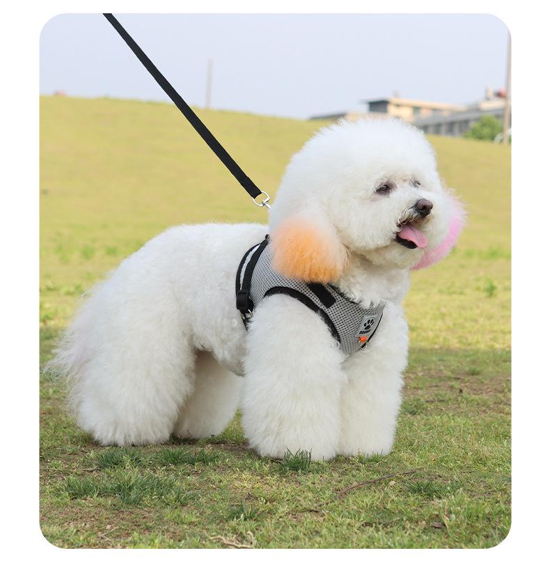 Adjustable Vest-Style Pet Harness with Leash - Reflective Safety, Breathable, Choking Prevention Harnesses for Outdoor Walking Dogs and Cats