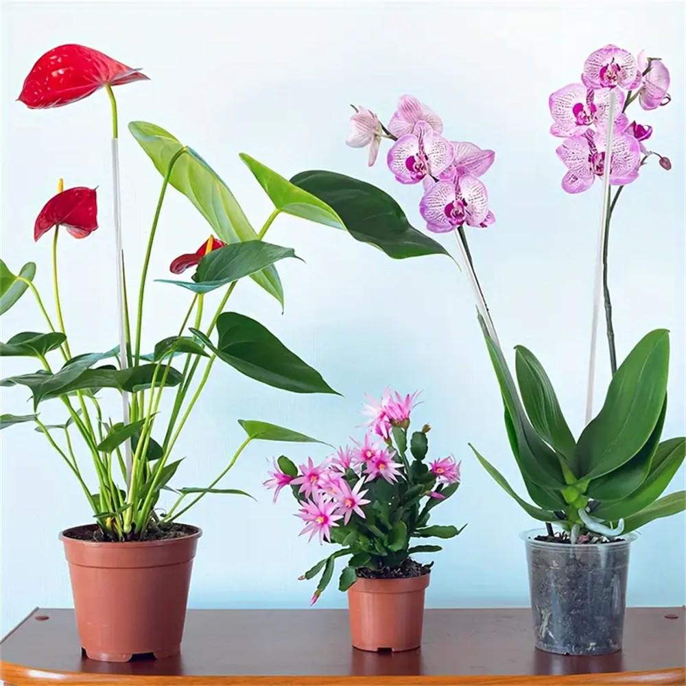 Transparent Acrylic Plant Stakes/garden Stakes for Orchids and Potted Plants, Supports Vine Growth, Durable Gardening Tool