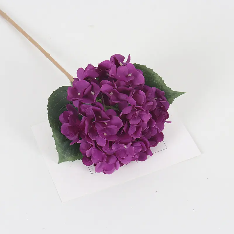 Deep Purple
