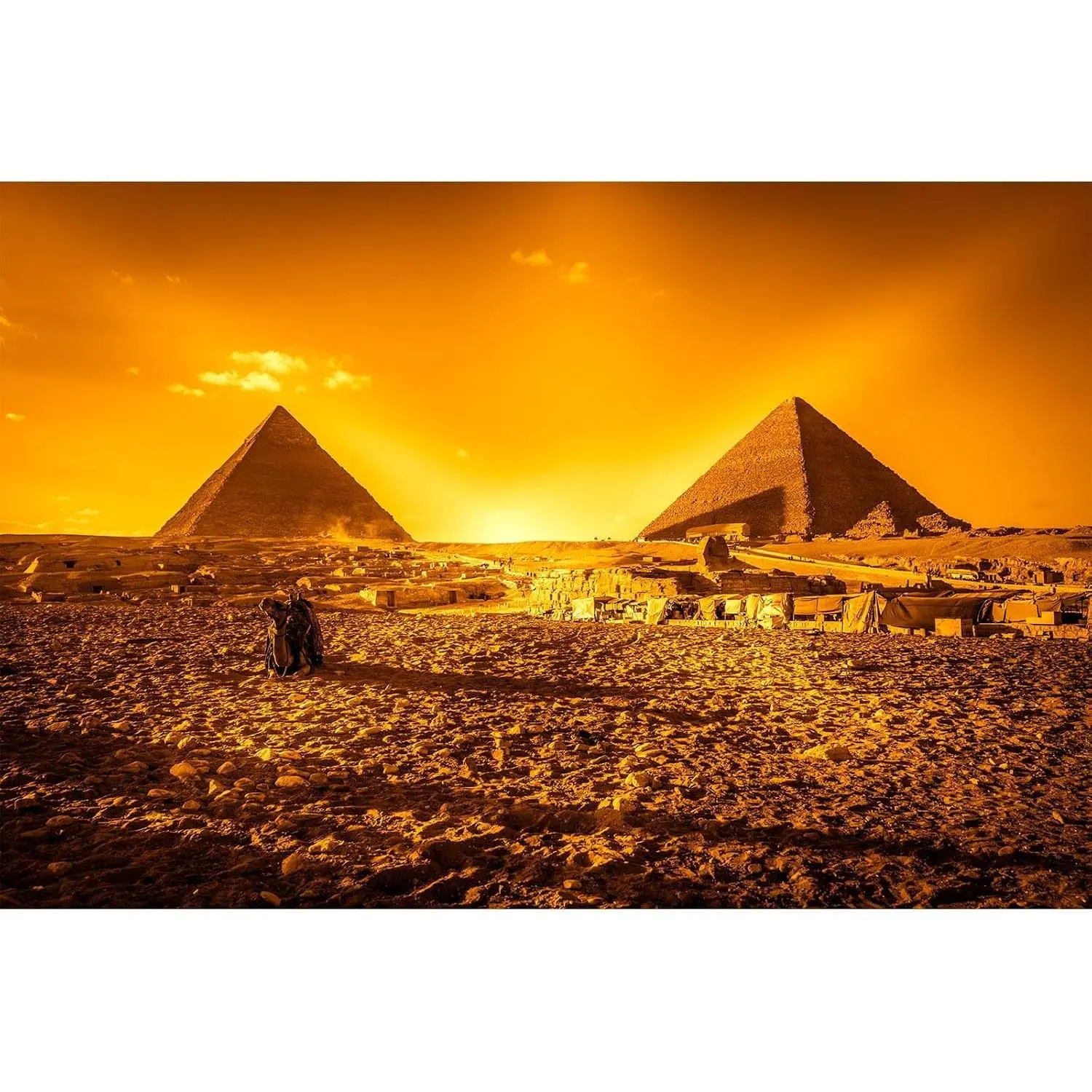 Desert Orange