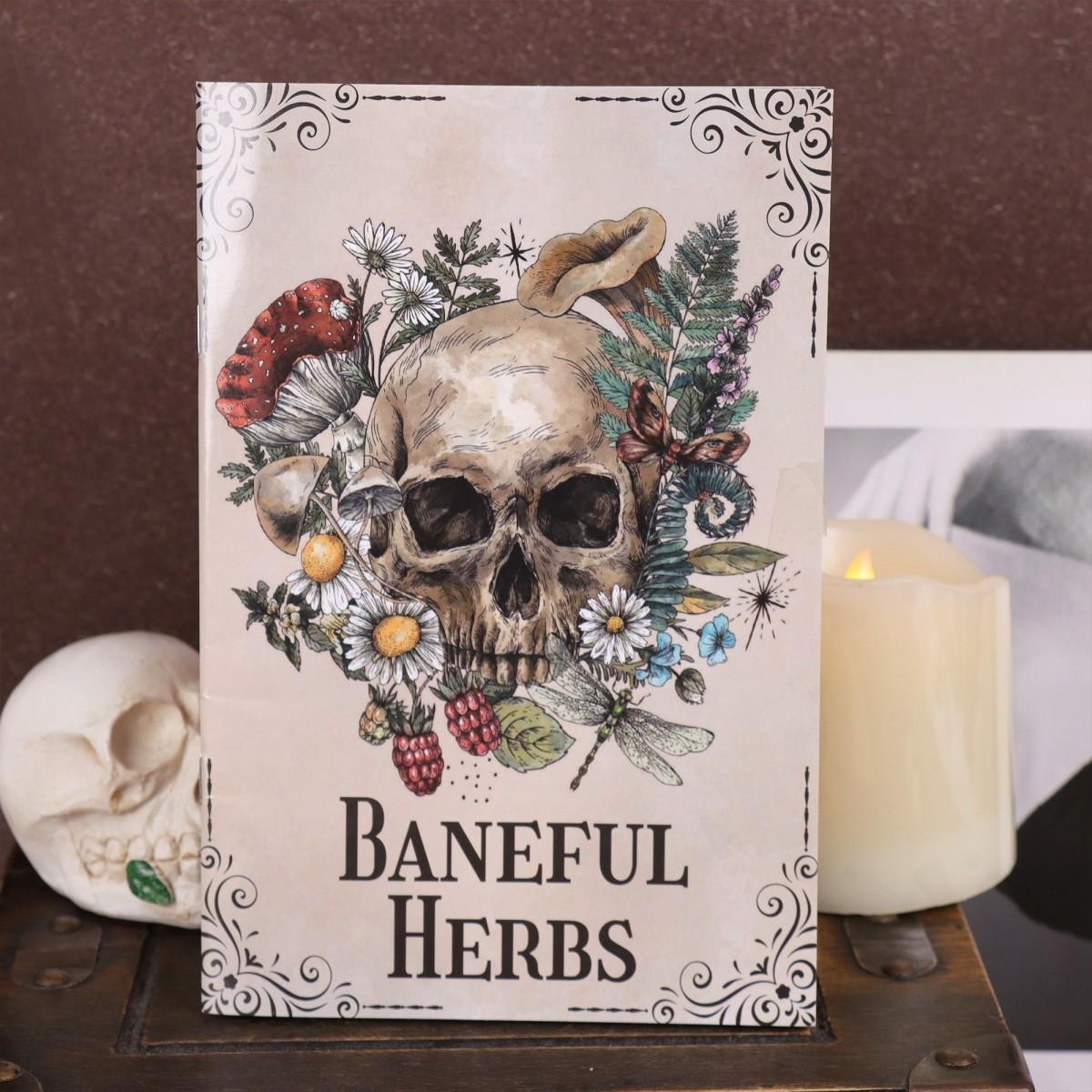 Gothic Skull and Plant Art Planner, Dark Romantic Floral Illustration Journal, Creative Notebook and Stationery Collection