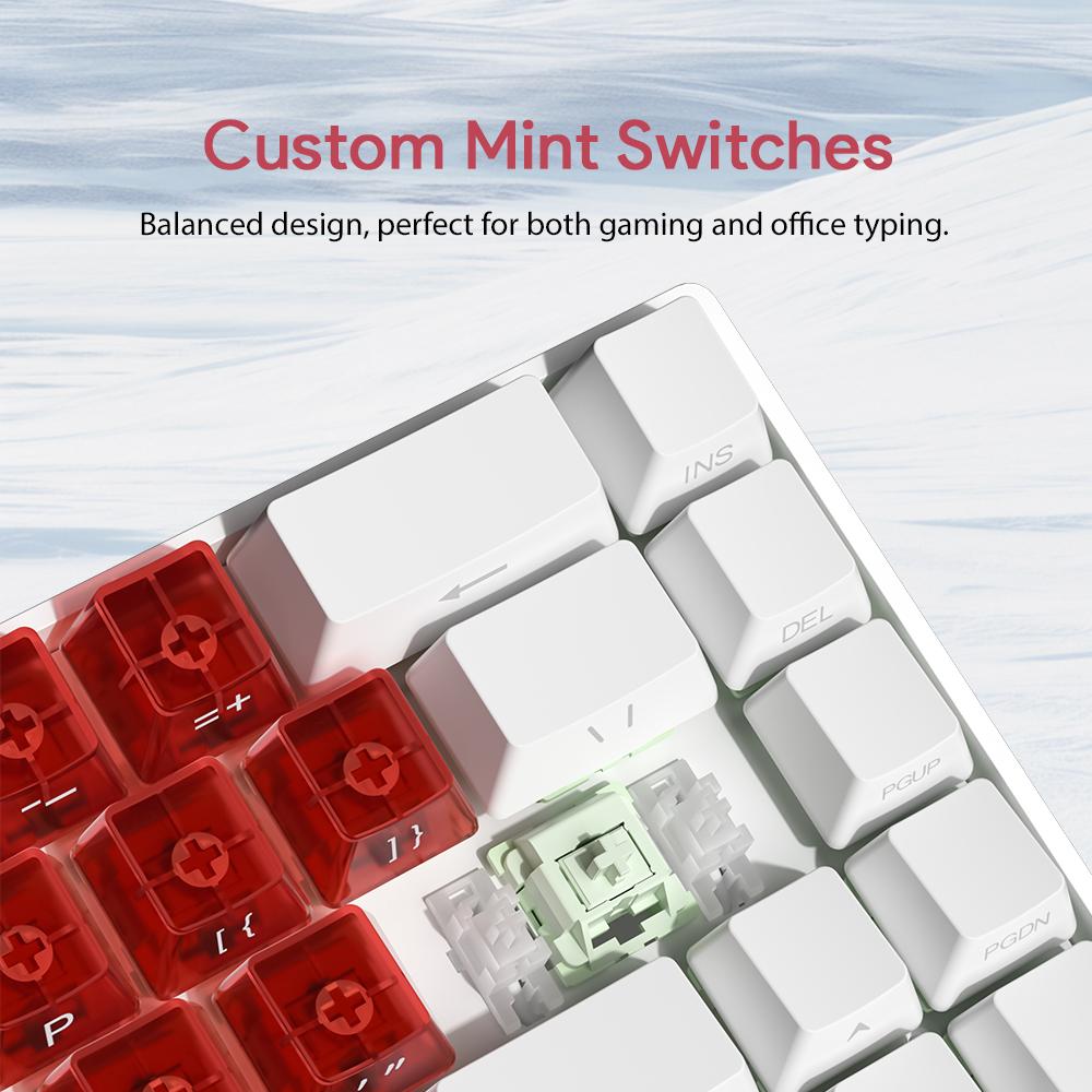 ZIFRIEND TK68 60% Mechanical Gaming Keyboard,RGB Light,Portable 68