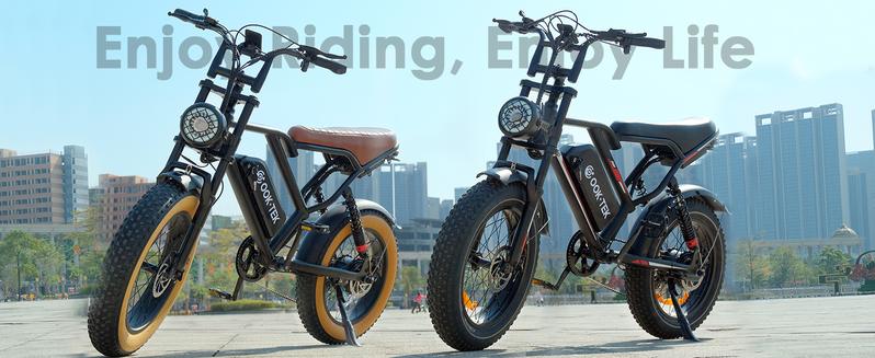 Electric Bike for Adults Peak 1000W, 31MPH,48V 17.5AH, E-Bike,35-45 Miles Electric Motorcycle, 20" Fat Tire Dirt Bike, UL2849 All Terrain for Mountains, Snow, Sand, Road