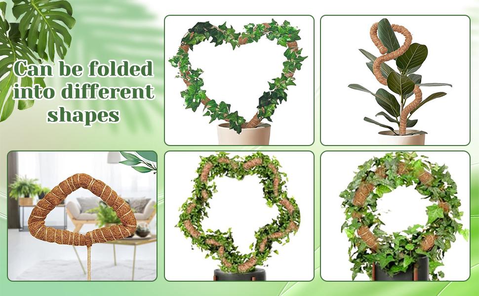 3 Pack Moss Pole,31 Inch Monstera Plant,Bendable Plant Trellis Moss Pole for Plants Monstera,Moss Poles for Climbing Plants Indoor,Coir Plant Pole Sticks Stakes (3pcs)