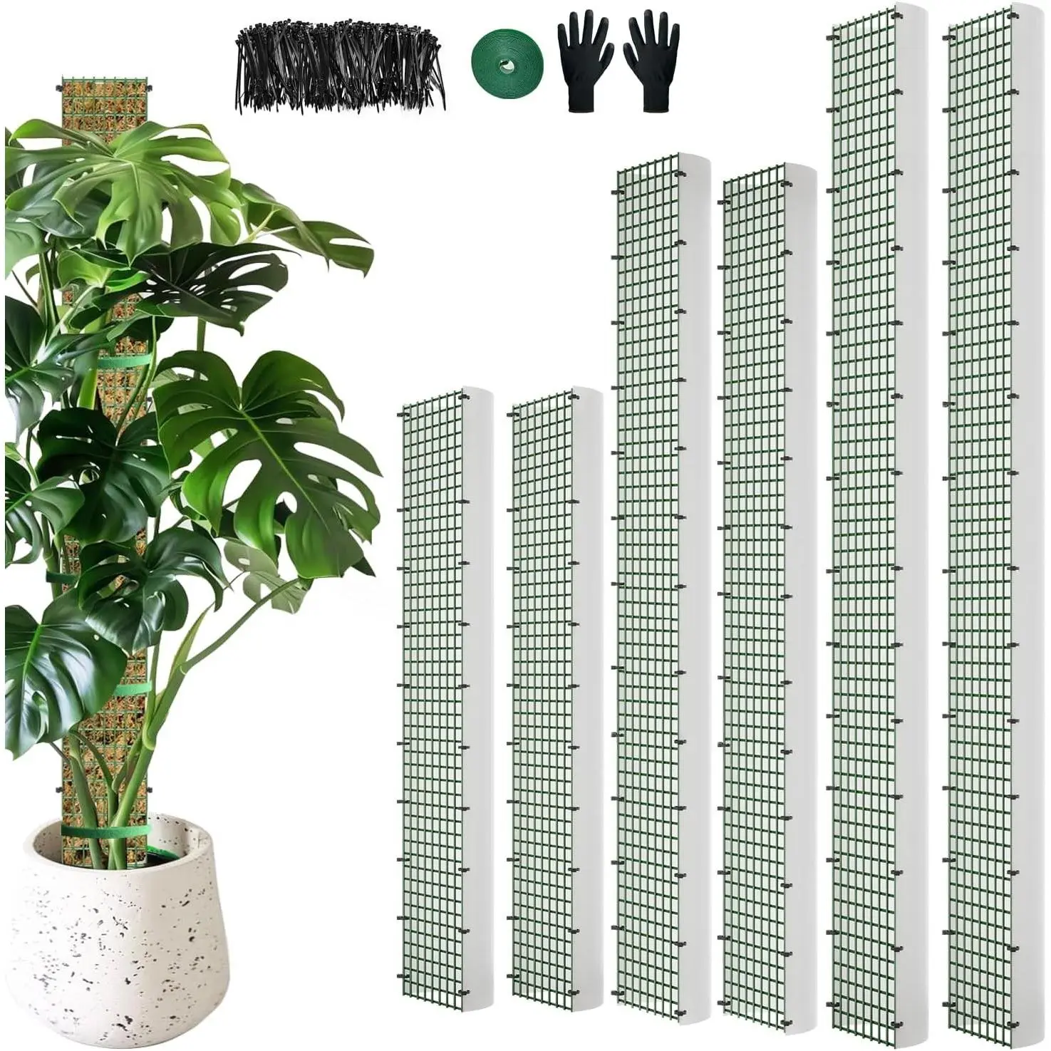 60"/40"/24" Metal Moss Pole, 6 Pack D Shape Sphagnum Moss Pole, Moss Poles for Climbing Plants, Monstera, Indoor Climbing Plants (2 Each of 60" 40" 24")