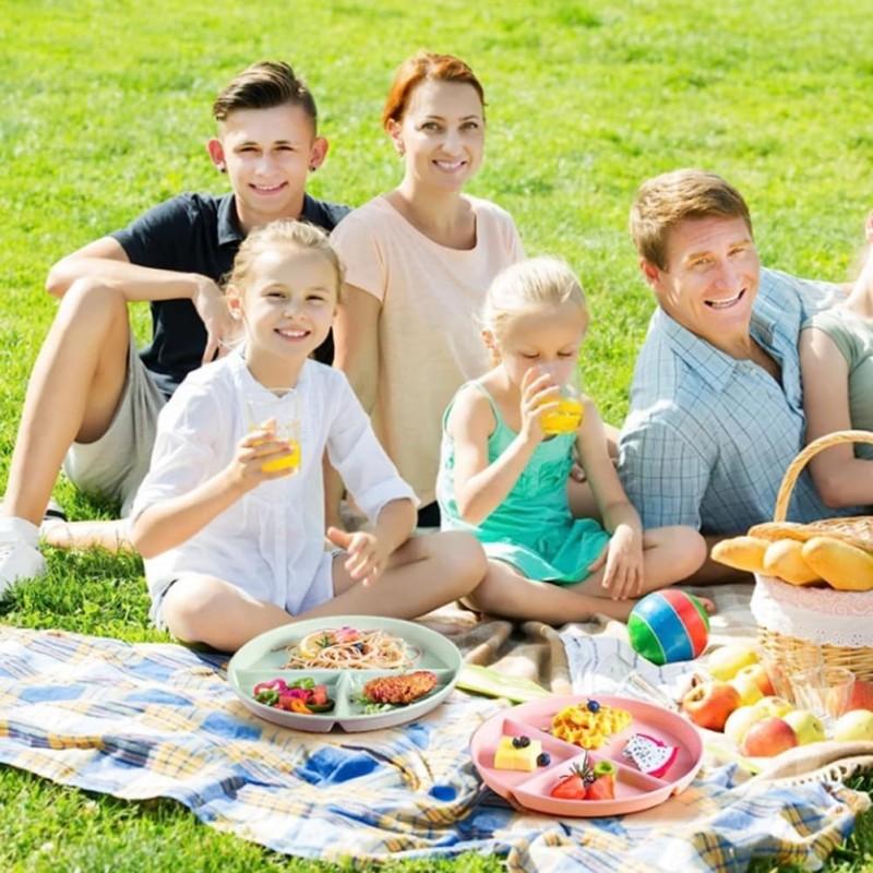 Unbreakable Divided Plates 5PCS for Kids Adults, Corelle Divided Plates, Wheat Straw Divided Plates, Salad Serving Plates, Lightweight Reusable Dinnerware Portion Control Plastic,9IN