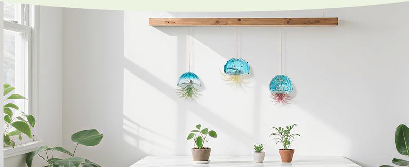 Hanging Air Plant Holder: 3Pcs Glass Jellyfish Air Plant Hanger with Jute Ropes for Tillandsia Succulent Houseplants