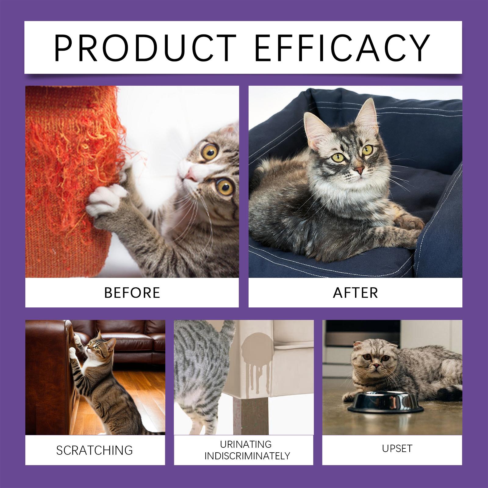 Cat Care Spray for Calming Anxiety, Prevents Scratching and Urinating Issues, Gentle Cat Behavior Management Spray