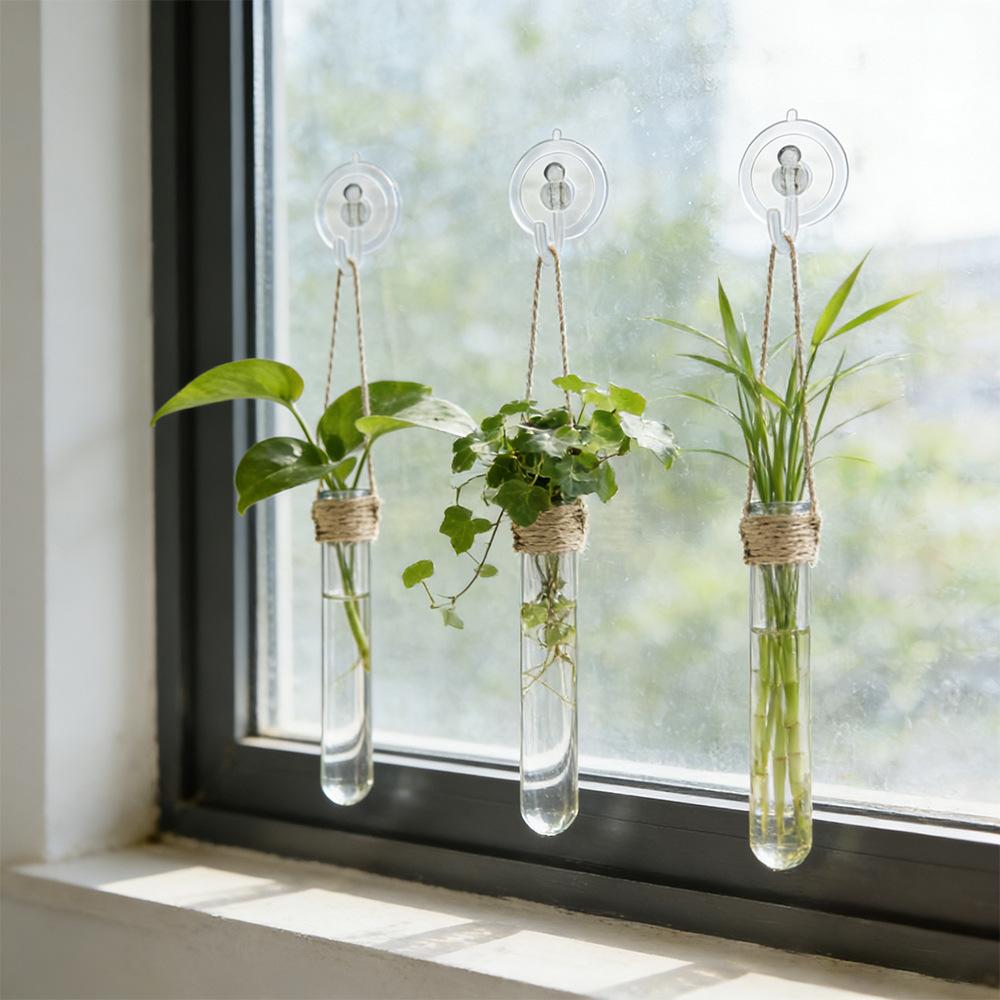 Wall-mounted Test Tube Vase Hemp Rope Hanging Hydroponic Set Simple Nordic Style Punch-free Installation Creative Wall Decoration Home Living Room Soft Decoration
