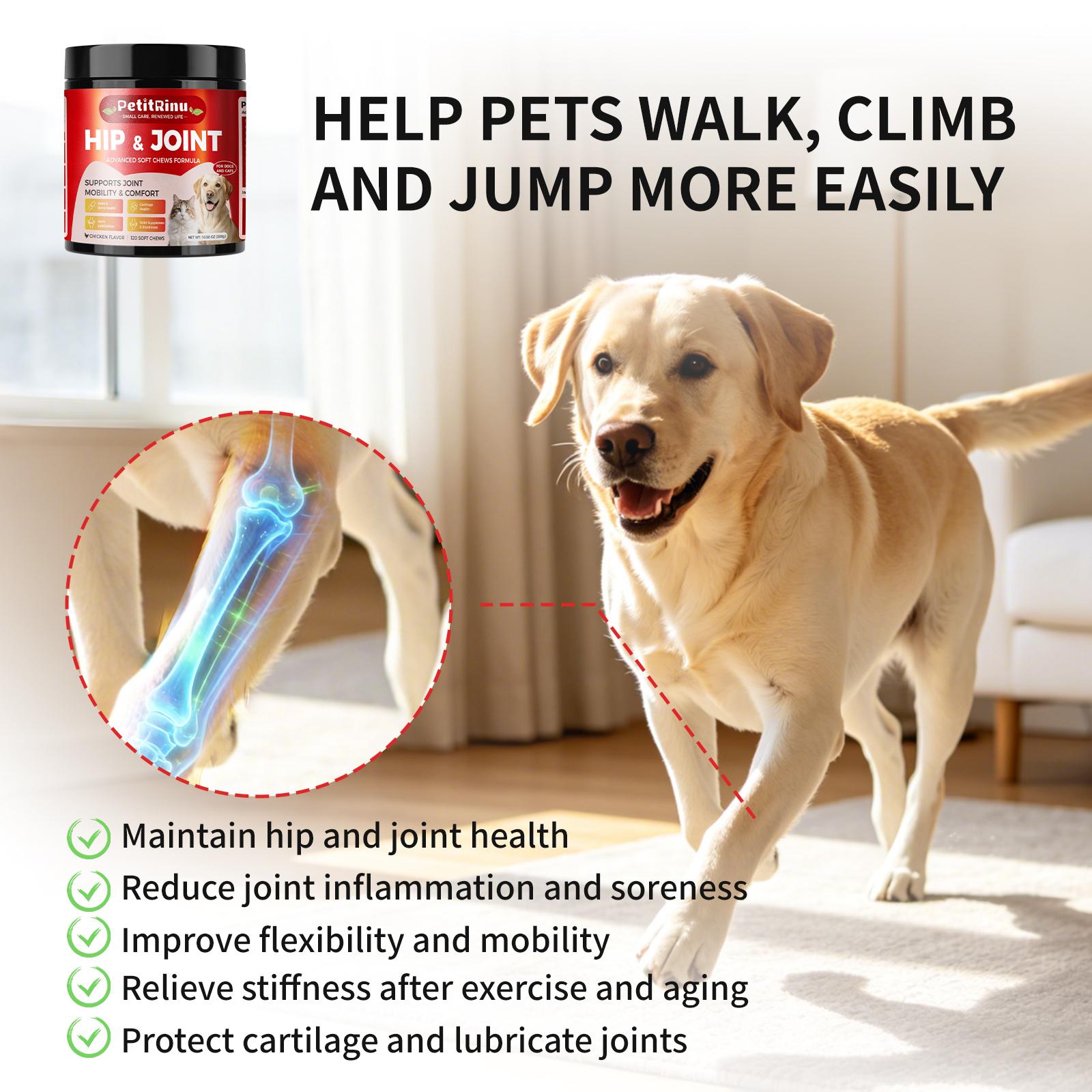 Dog Joint Supplement 120 Count Soft Chews, Hip & Joint Care for Senior Dogs, Puppy & Cats, Mobility Support Vitamins, Chicken Flavor Pet Health Supplement