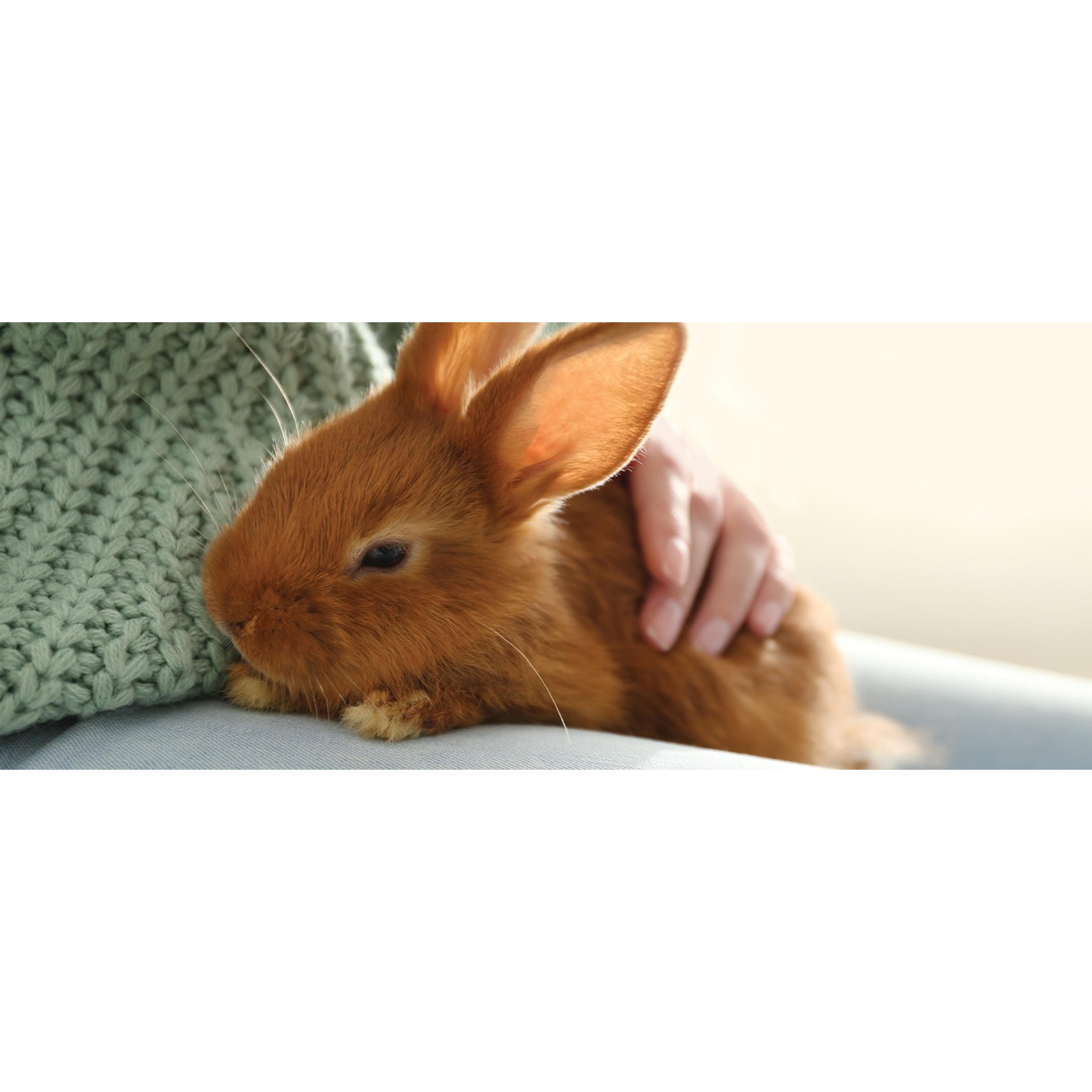 Natural Science Urinary Supplement for Rabbits & Guinea Pigs, 4.2 oz