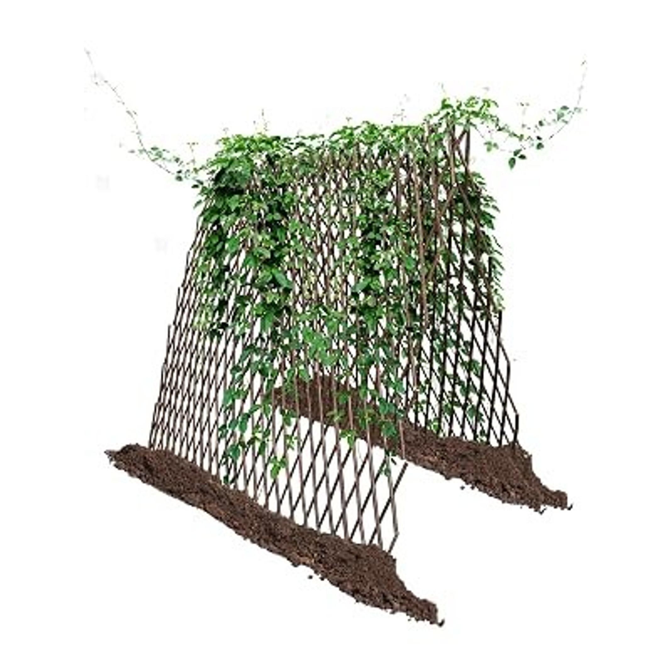 Nature Willow Trellis Expandable Plant Support Plant Climbing Lattices Trellis Willow Expandable Trellis Fence for Climbing Plants Support 36x92 Inch,Double Panel (1)