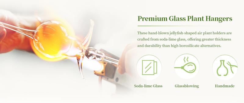 Hanging Air Plant Holder: 3Pcs Glass Jellyfish Air Plant Hanger with Jute Ropes for Tillandsia Succulent Houseplants