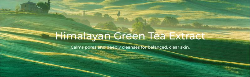 CHANDO Himalaya Deep Clease Green Tea Clay Purifying Mask 100g, Skincare,Cleasin,Radiance Pore Comfort, Blackhead, Whitehead, Mud Mask,