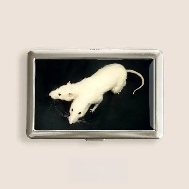 Funny Animal Card Holder for Women and Men, Cute Mouse Design ID Card Case, Novelty Wallet Storage Pouch for Credit Cards, Student ID, Business Cards, Y2K Aesthetic Accessories, Unique Gift for Friends
