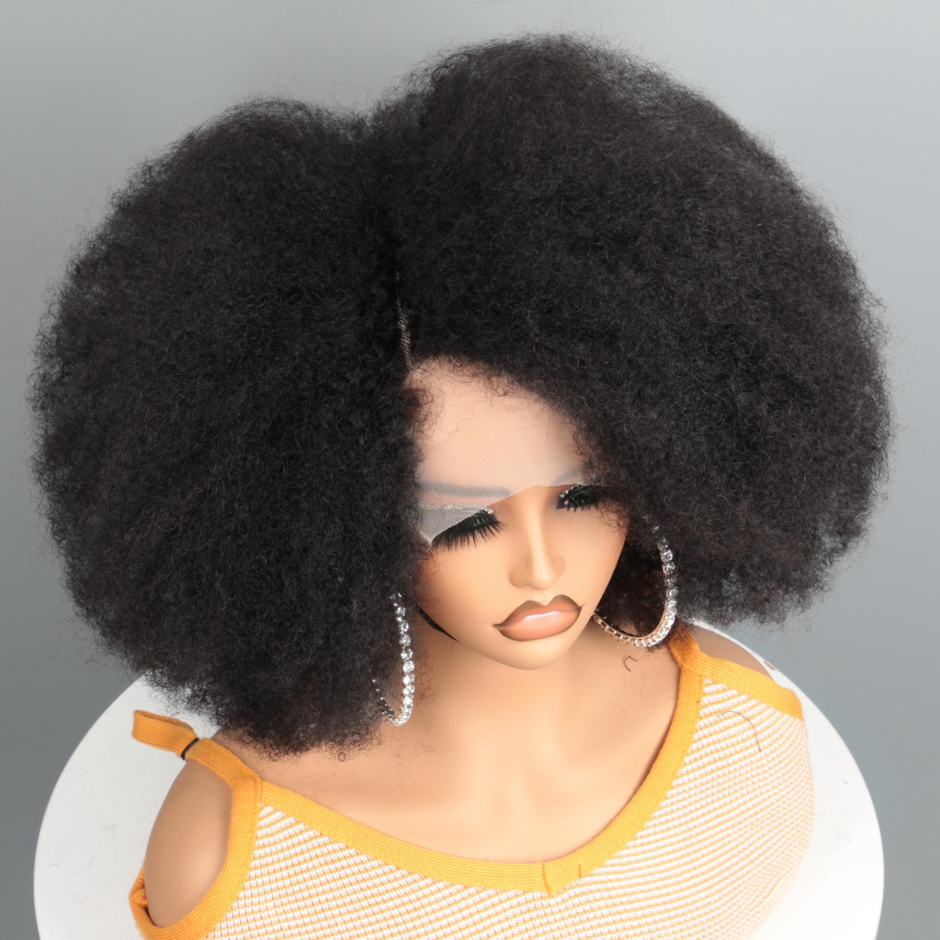 Imani 14 Inch Afro Kinky Curly Wig Short Curly Wig Human Hair for Black Women 250% Density 13x4x2 HD Lace Frontal Wig for Daily Use with Natural Hairline Affordable Wig