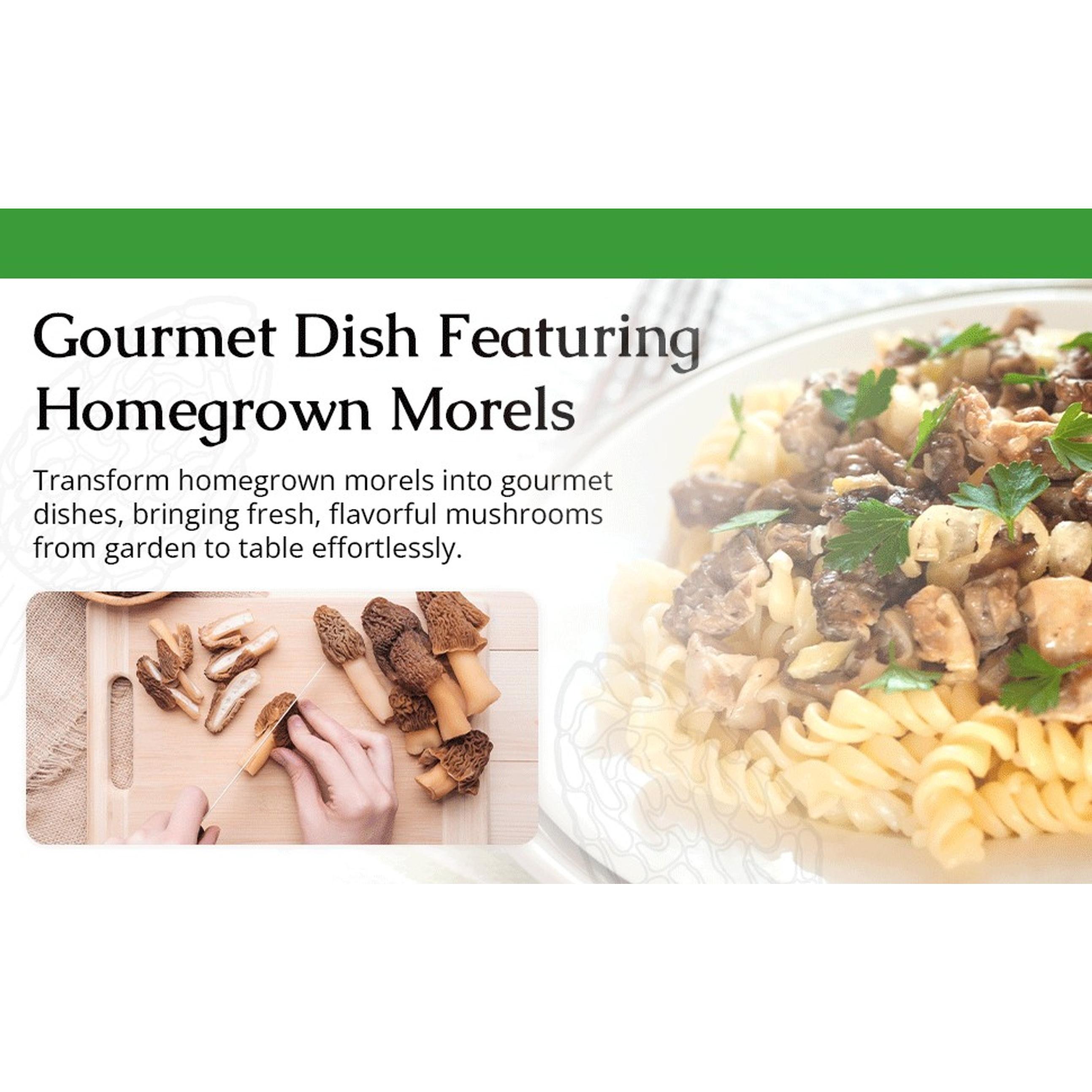 Morel Mushroom Growing Kit (Morchella) | Compatible with Any Soil Type Across the U.S., Outdoor Garden & Backyard Cultivation, Full Instructions Included