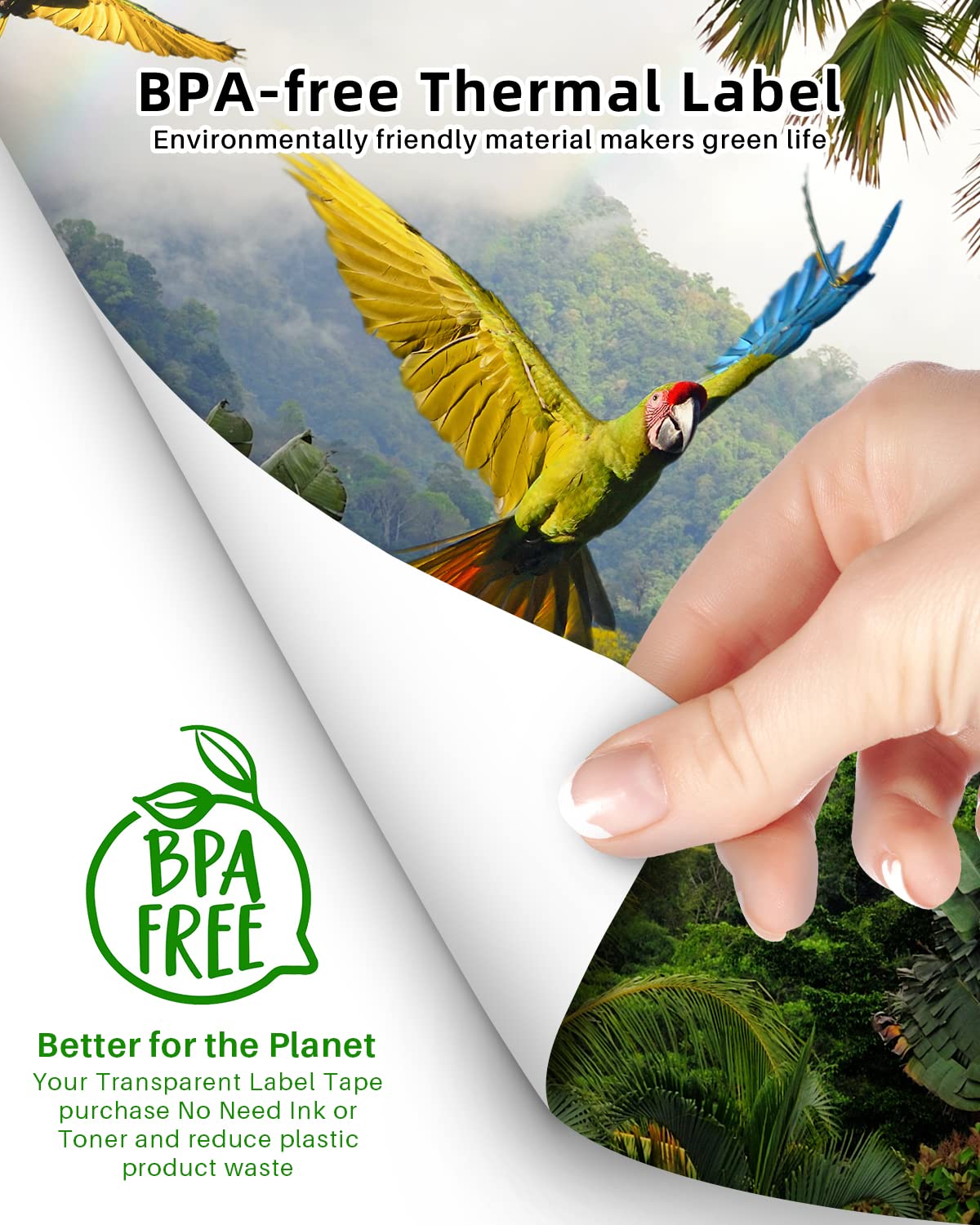 Phomemo M08F / MT800 / Brother Portable Printers Compatible - A4 & US Letter Advanced Thermal Printer Paper for Inkless Printing Phomemo M08F / MT800 / Brother Portable Printers Compatible - A4 & US Letter Advanced Thermal Printer Paper for Inkless Printing