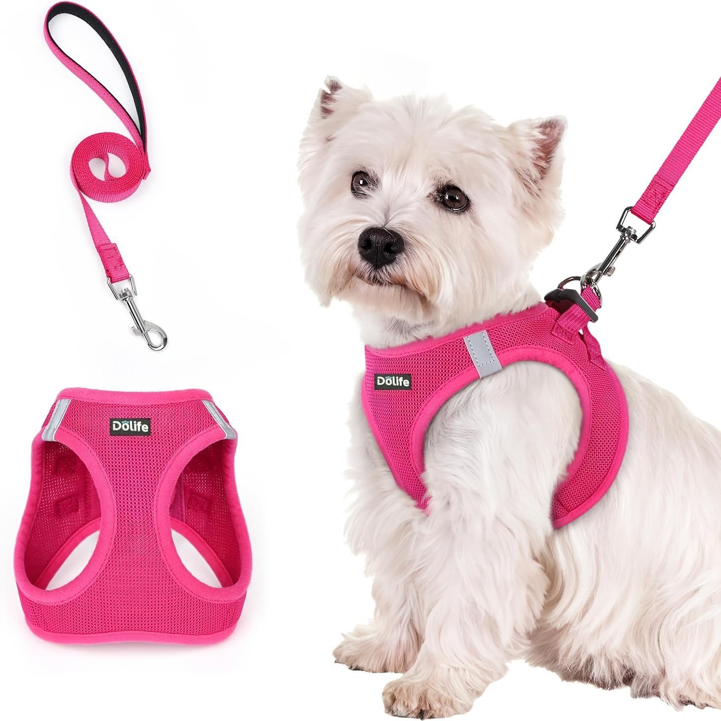 Durable Reflective Harness & Leash Combo for Small Dogs & Puppies, All-Weather Breathable Mesh Vest, Soft Lightweight Step-In Design, Battery-Free, Hand Wash Only, Reflects at Night, Collars & Harnesses & Leads, Leash Included