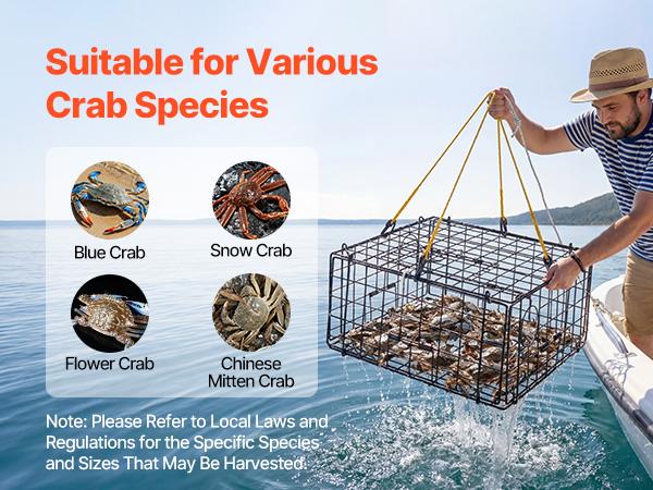 VEVOR Crab Trap, 2 Packs, 24.4x24.4x11.8 inch Heavy Duty Large Crab Pot Trap for Dungeness, Black PVC Coated Wire Mesh for Stealth, with Gauge, Red/White Float, 100ft Leaded Core Rope, and Gloves
